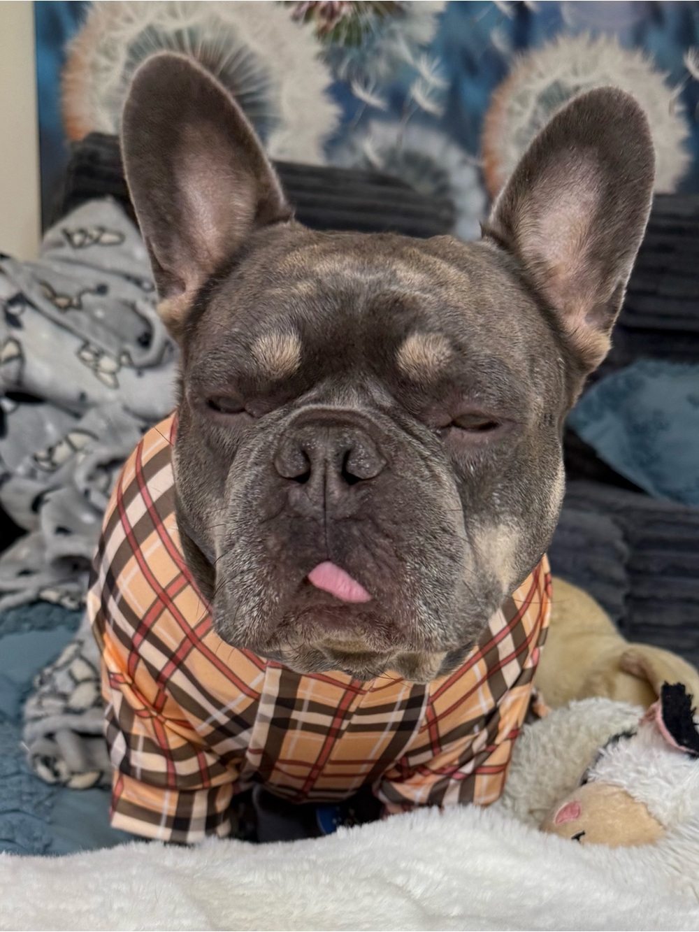 Plaid Dog Pajamas- Tan & Brown